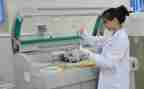 检验科检验师述职报告6篇