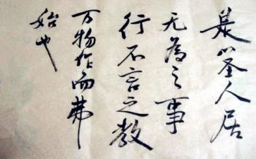 老师的言与行作文8篇