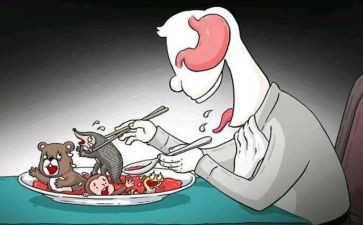 敬畏自然,拒绝野味演讲稿5篇