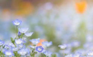 个人一个月总结7篇