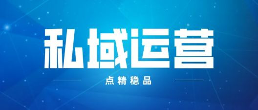 2024年营运工作总结范文7篇