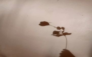 影子的读后感最新8篇