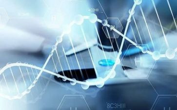 医学生求职自我鉴定优秀6篇