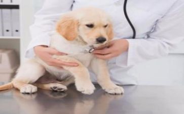 在医院工作心得优质5篇