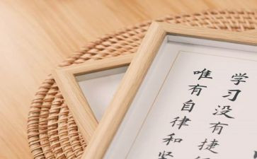 员工试用心得报告6篇