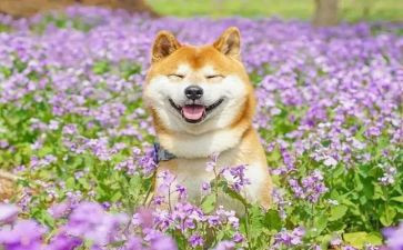 有趣的事作文400字最新8篇