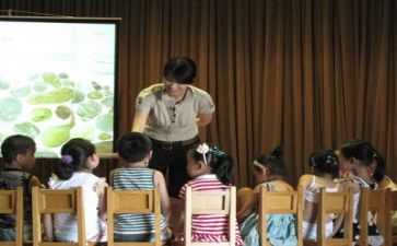 幼师个人年终工作总结8篇