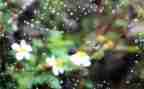 小英雄雨来作文400字6篇