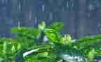 生活中的雨的作文通用8篇