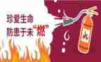 残疾预防日宣传活动总结5篇