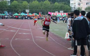 2024奥运会观后感最新8篇