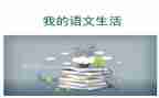 语文老师教语文的心得体会7篇