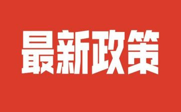 关于双减政策的心得体会8篇