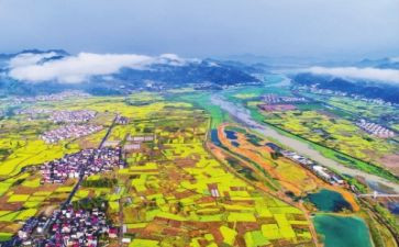 2024全面推进乡村振兴心得体会8篇
