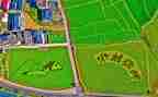 2024年乡村振兴工作总结报告7篇
