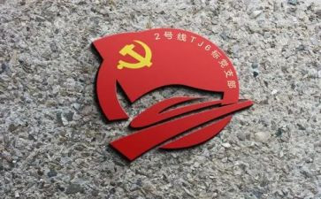 支部的心得体会范文7篇