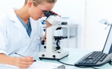 质量体系工作总结8篇