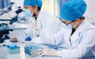 质量年活动总结6篇