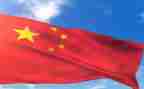 中国文化300字作文8篇