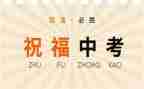 我的中考800字作文5篇