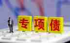 专项债项目工作总结5篇