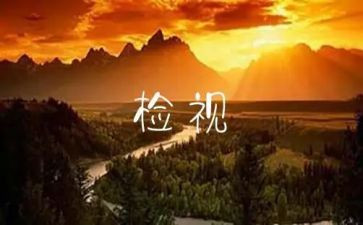 以案为鉴自检自查报告优质5篇