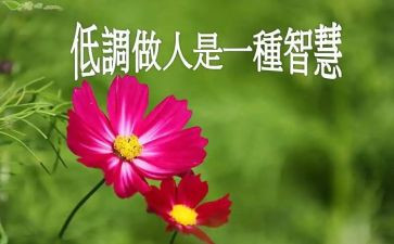 做人才工作计划最新8篇